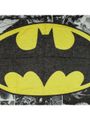 Официальный шарф DC — Бэтмен с логотипом